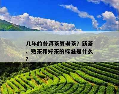 几年的普洱茶算老茶？新茶、熟茶和好茶的标准是什么？