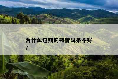 为什么过期的熟普洱茶不好？