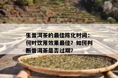 生普洱茶的更佳陈化时间：何时饮用效果更佳？如何判断普洱茶是否过期？