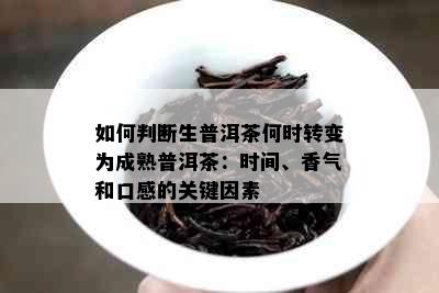 如何判断生普洱茶何时转变为成熟普洱茶：时间、香气和口感的关键因素