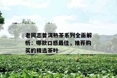 老同志普洱熟茶系列全面解析：哪款口感更佳，推荐购买的精选茶叶