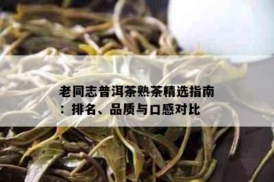 老同志普洱茶熟茶精选指南：排名、品质与口感对比