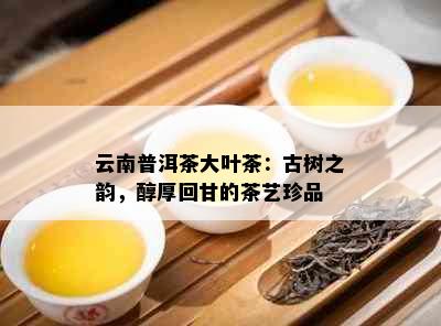 云南普洱茶大叶茶：古树之韵，醇厚回甘的茶艺珍品