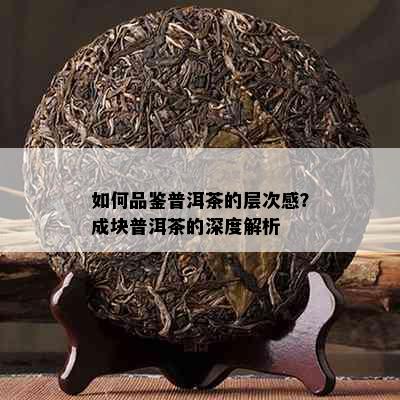 如何品鉴普洱茶的层次感？成块普洱茶的深度解析