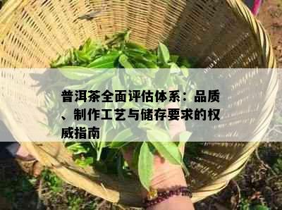 普洱茶全面评估体系：品质、制作工艺与储存要求的权威指南