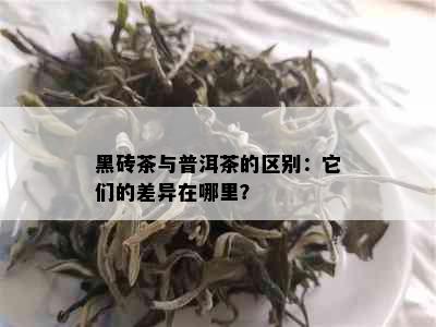 黑砖茶与普洱茶的区别：它们的差异在哪里？