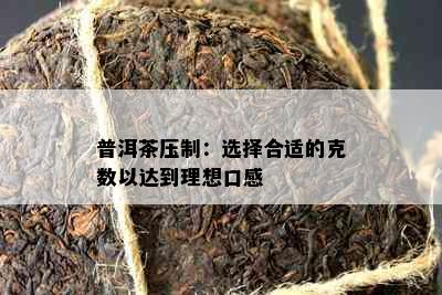 普洱茶压制：选择合适的克数以达到理想口感