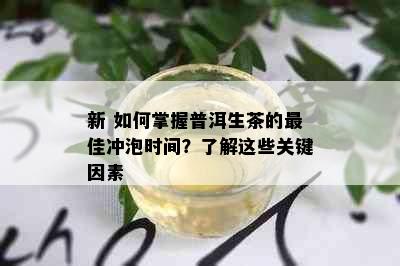 新 如何掌握普洱生茶的更佳冲泡时间？了解这些关键因素