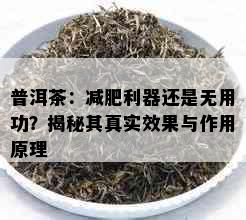 普洱茶：减肥利器还是无用功？揭秘其真实效果与作用原理