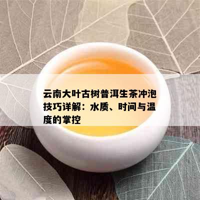 云南大叶古树普洱生茶冲泡技巧详解：水质、时间与温度的掌控