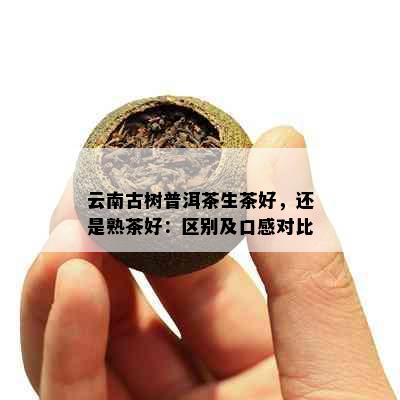 云南古树普洱茶生茶好，还是熟茶好：区别及口感对比