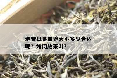 泡普洱茶盖碗大小多少合适呢？如何放茶叶？