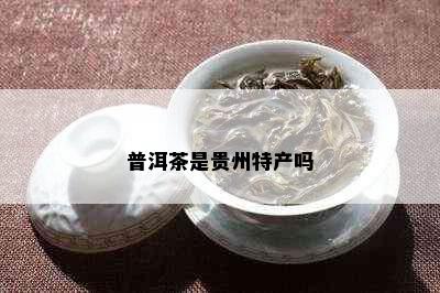 普洱茶是贵州特产吗