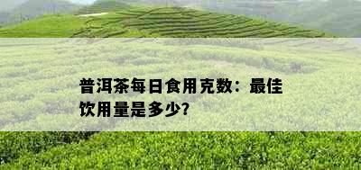 普洱茶每日食用克数：更佳饮用量是多少？