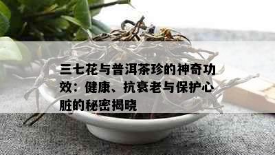 三七花与普洱茶珍的神奇功效：健康、抗衰老与保护心脏的秘密揭晓