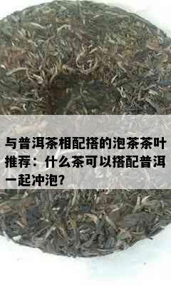 与普洱茶相配搭的泡茶茶叶推荐：什么茶可以搭配普洱一起冲泡？