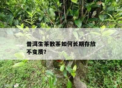 普洱生茶散茶如何长期存放不变质？