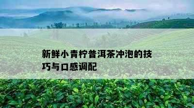 新鲜小青柠普洱茶冲泡的技巧与口感调配