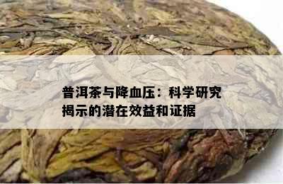 普洱茶与降血压：科学研究揭示的潜在效益和证据