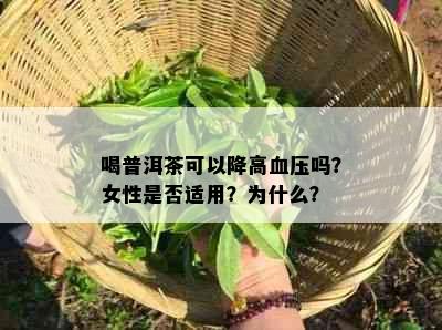 喝普洱茶可以降高血压吗？女性是否适用？为什么？