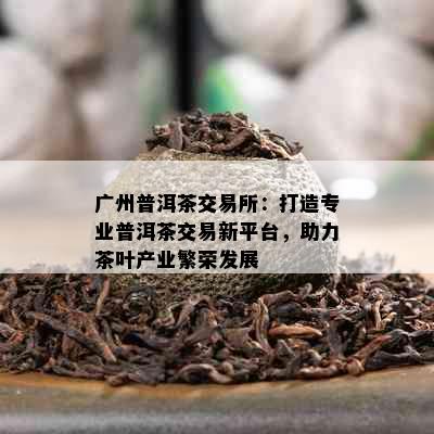 广州普洱茶交易所：打造专业普洱茶交易新平台，助力茶叶产业繁荣发展