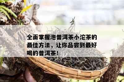 全面掌握泡普洱茶小沱茶的更佳方法，让你品尝到更好喝的普洱茶！