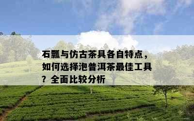 石瓢与仿古茶具各自特点，如何选择泡普洱茶更佳工具？全面比较分析