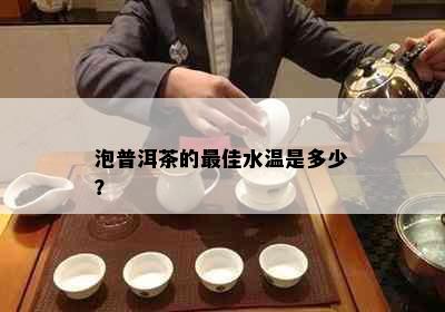 泡普洱茶的更佳水温是多少？