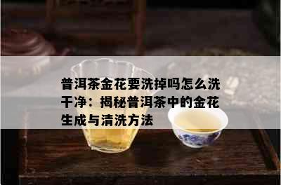 普洱茶金花要洗掉吗怎么洗干净：揭秘普洱茶中的金花生成与清洗方法