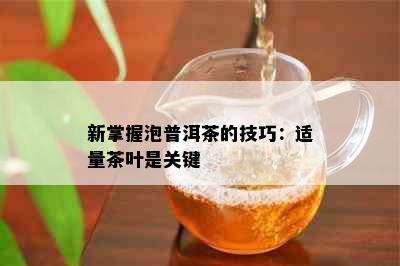 新掌握泡普洱茶的技巧：适量茶叶是关键