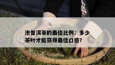 泡普洱茶的更佳比例：多少茶叶才能获得更佳口感？