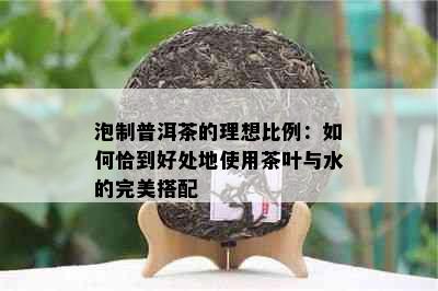 泡制普洱茶的理想比例：如何恰到好处地使用茶叶与水的完美搭配