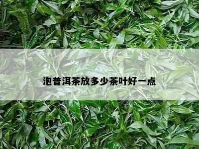 泡普洱茶放多少茶叶好一点