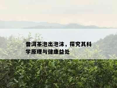 普洱茶泡出泡沫，探究其科学原理与健康益处