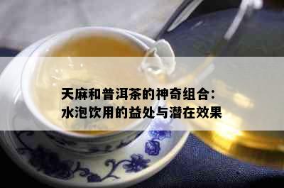 天麻和普洱茶的神奇组合：水泡饮用的益处与潜在效果