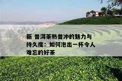 新 普洱茶熟普冲的魅力与持久度：如何泡出一杯令人难忘的好茶