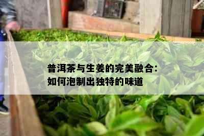 普洱茶与生姜的完美融合：如何泡制出独特的味道