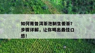 如何用普洱茶泡制生姜茶？步骤详解，让你喝出更佳口感！