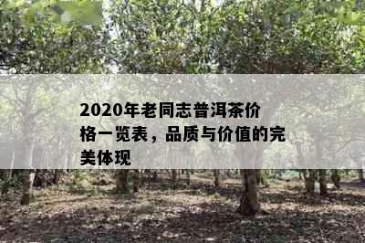 2020年老同志普洱茶价格一览表，品质与价值的完美体现