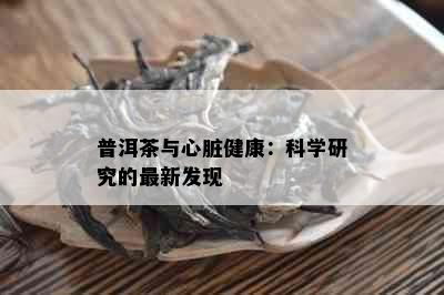 普洱茶与心脏健康：科学研究的最新发现