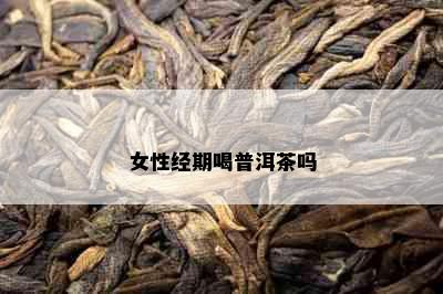 女性经期喝普洱茶吗