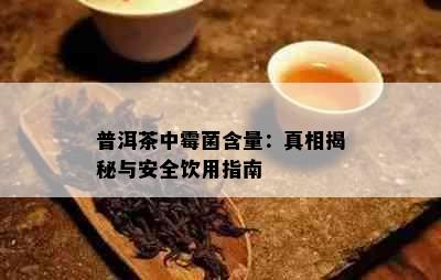 普洱茶中霉菌含量：真相揭秘与安全饮用指南