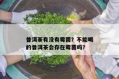 普洱茶有没有霉菌？不能喝的普洱茶会存在霉菌吗？