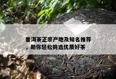 普洱茶正宗产地及知名推荐，助你轻松挑选优质好茶