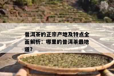 普洱茶的正宗产地及特点全面解析：哪里的普洱茶最地道？