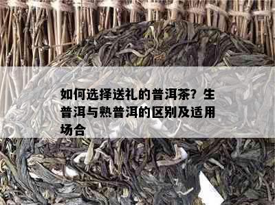 如何选择送礼的普洱茶？生普洱与熟普洱的区别及适用场合