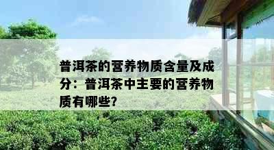 普洱茶的营养物质含量及成分：普洱茶中主要的营养物质有哪些？