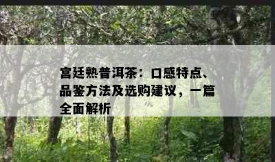 宫廷熟普洱茶：口感特点、品鉴方法及选购建议，一篇全面解析