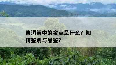 普洱茶中的金点是什么？如何鉴别与品鉴？