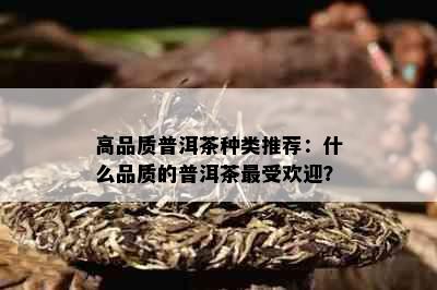 高品质普洱茶种类推荐：什么品质的普洱茶更受欢迎？